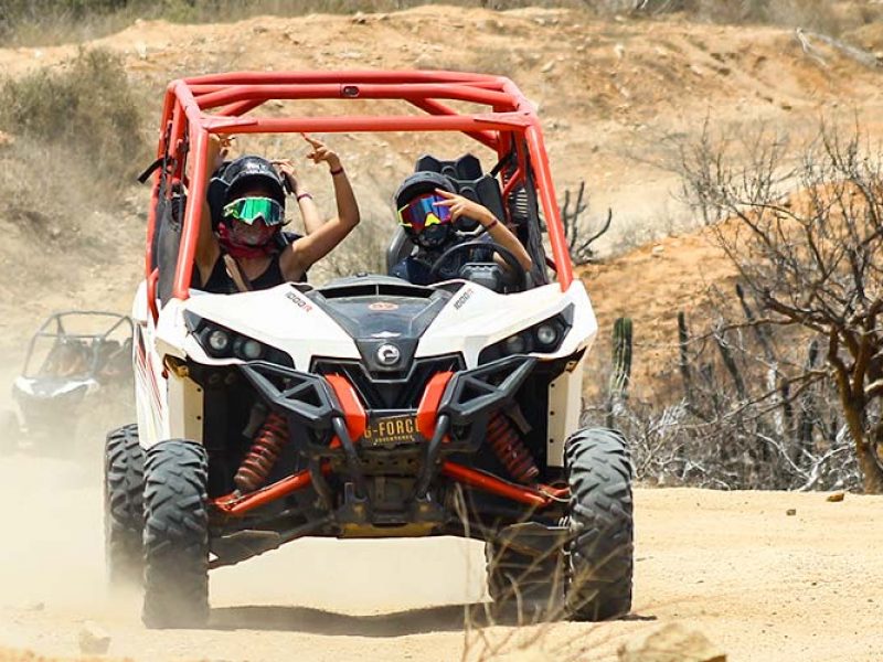 Tour and Activity Deals in Los Cabos