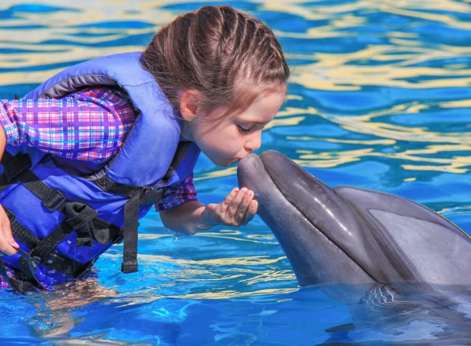 Cabo Dolphin Kids