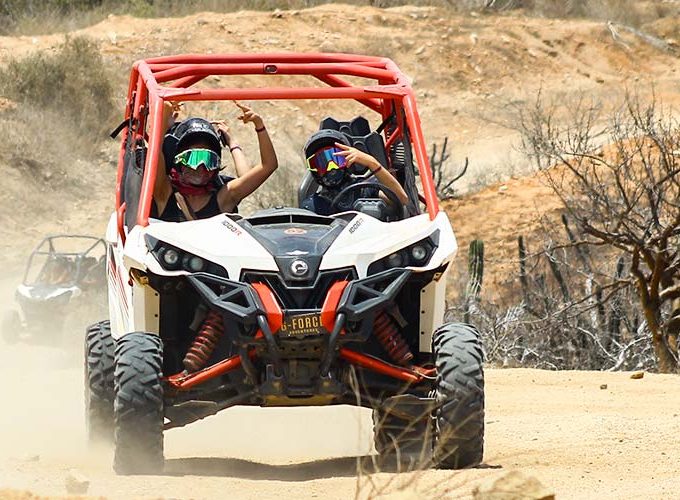 Tour and Activity Deals in Los Cabos