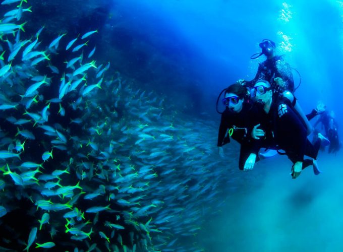 Cabo PADI Open Water Referral
